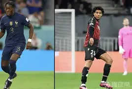 关于图卢兹球员因伤退出下一场比赛名单的信息